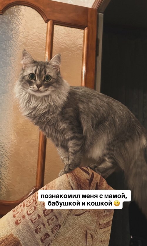 Виктория Чуева: Мы ездили к Ване в родной город