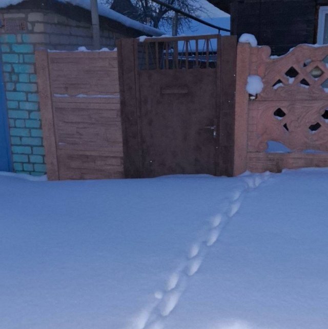 Вероника Гракович уехала в Борисов, чтобы подать на развод