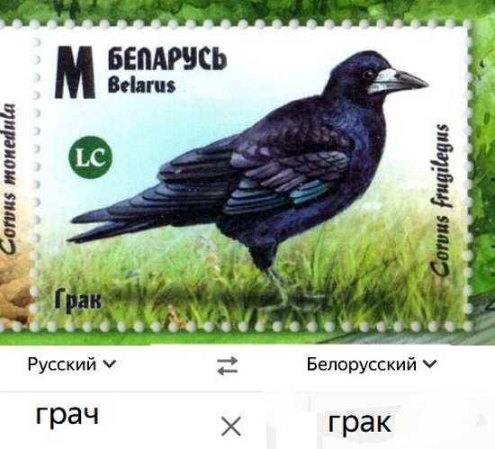 Мнение о событиях на Доме-2 (28.01.2026)