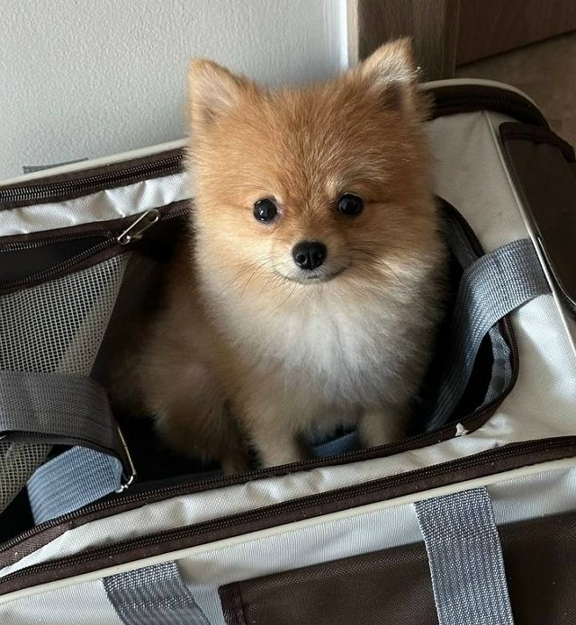 Евгения Хорошева: Назад дороги нет