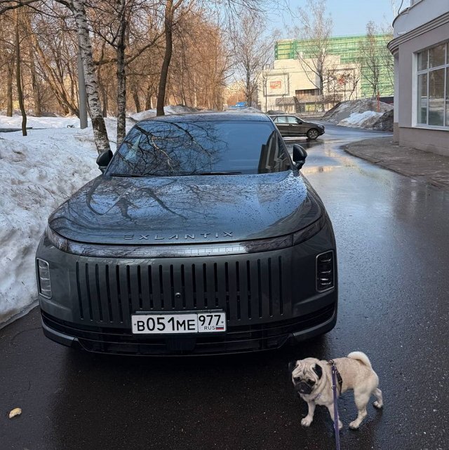 Елизавета Полыгалова: Это был сюрприз для Андрея