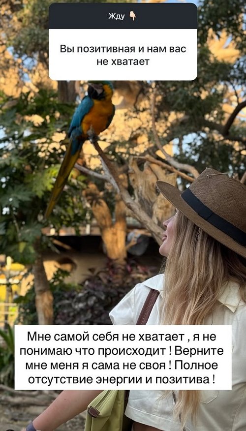 Елена Бушина: Я не понимаю, что происходит!