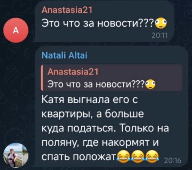 Новости от Кота Баюна (15.04.2026)