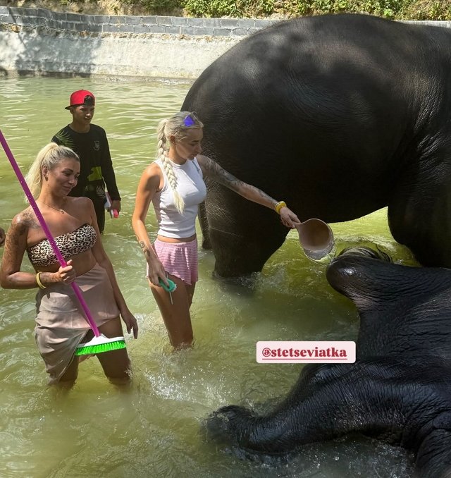 Елена Тепловодская не знает, куда ей дальше двигаться