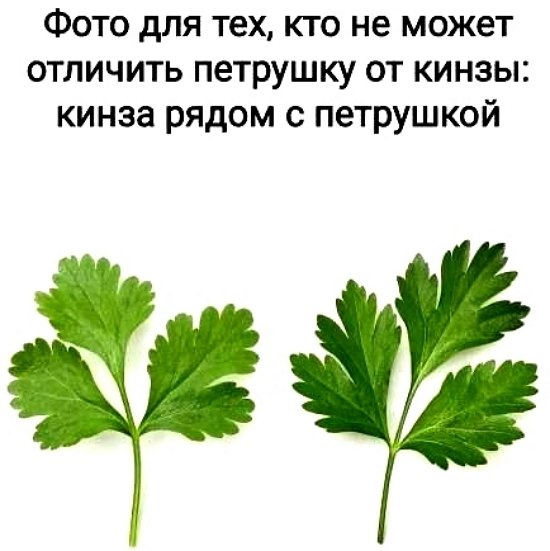 Мнение о событиях на Доме-2 (15.05.2026)