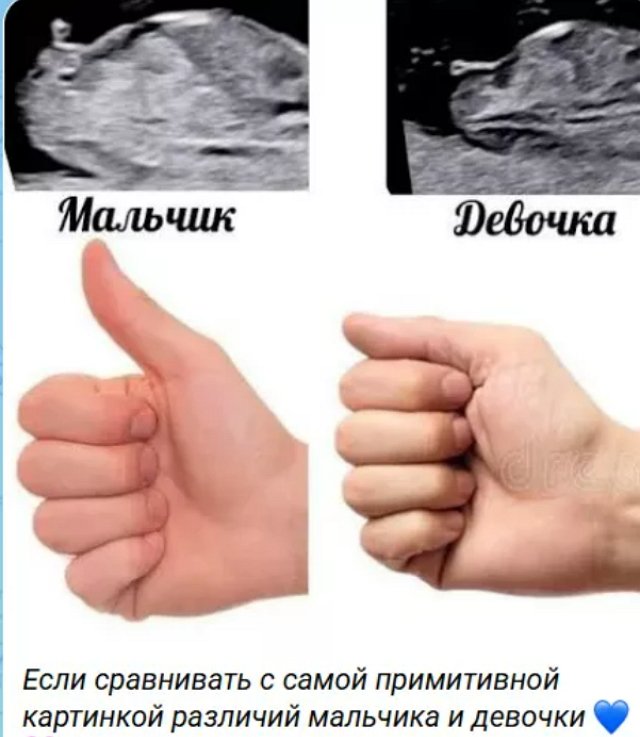 Виктория Салибекова надеется, что у них с мужем родится дочка Виктория Салибекова надеется, что у них с мужем родится дочка