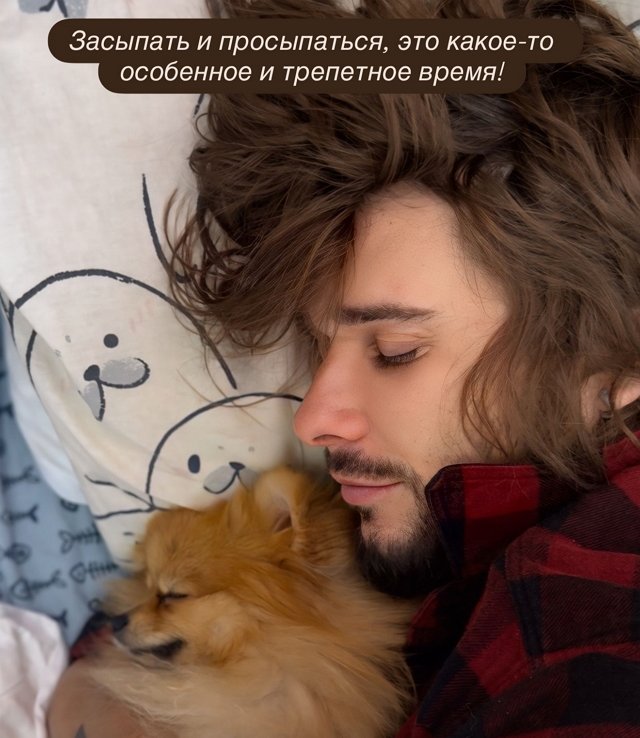 Евгения Ромашов влюбился в собаку Хорошевых Евгения Ромашов влюбился в собаку Хорошевых