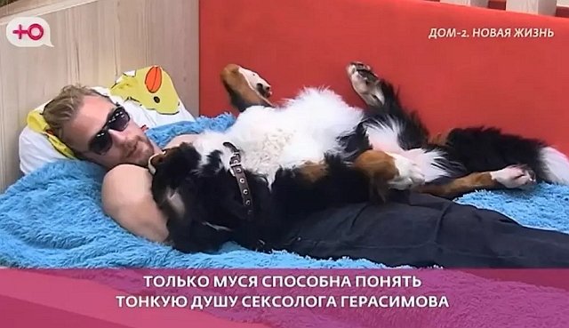 Психолог Иванна Еремия нелестно отозвалась о Герасимове Психолог Иванна Еремия нелестно отозвалась о Герасимове