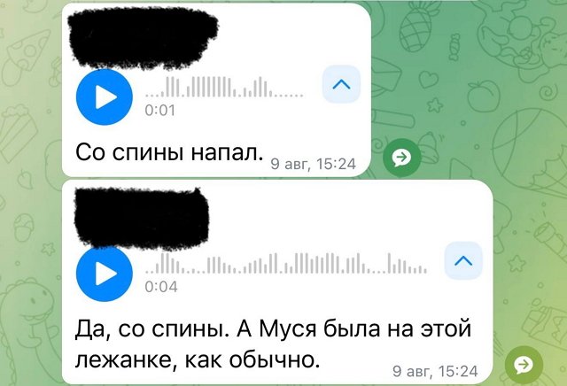 Артём Герасимов: После первого удара я потерял сознание