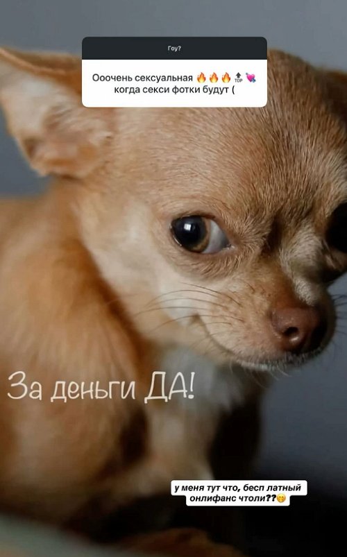 Алиана Устиненко: Пока всё сложно